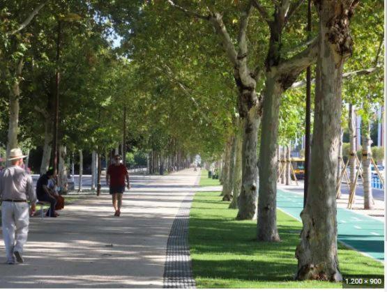 Alleanza, Aires De Guadalquivir Sevilla Eksteriør bilde